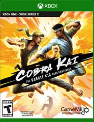 Cobra Kai The Karate Kid Saga Continues Xbox One