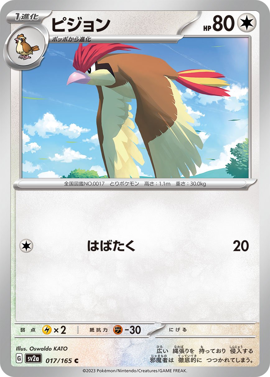 Pidgeotto #17 Japanese Pokemon 151