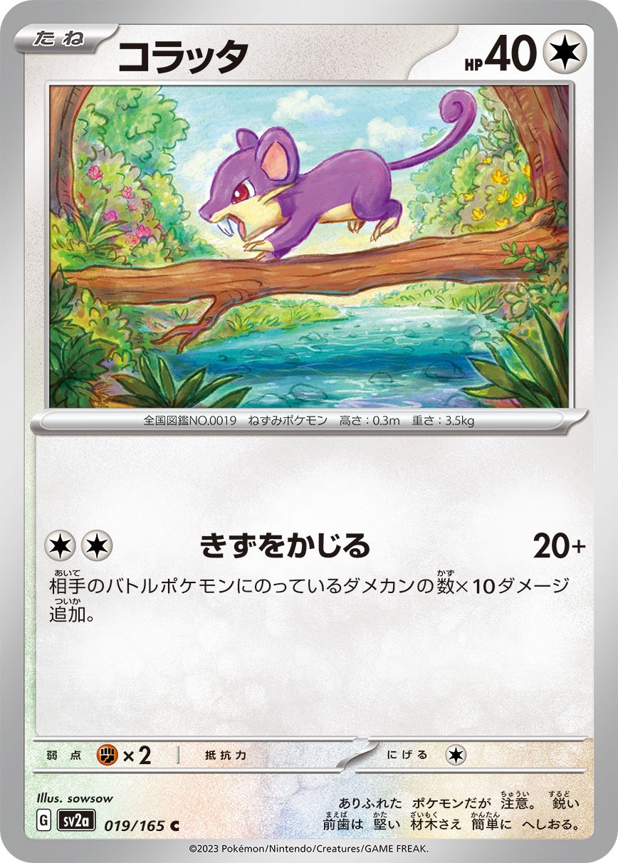Rattata #19 Japanese Pokemon 151