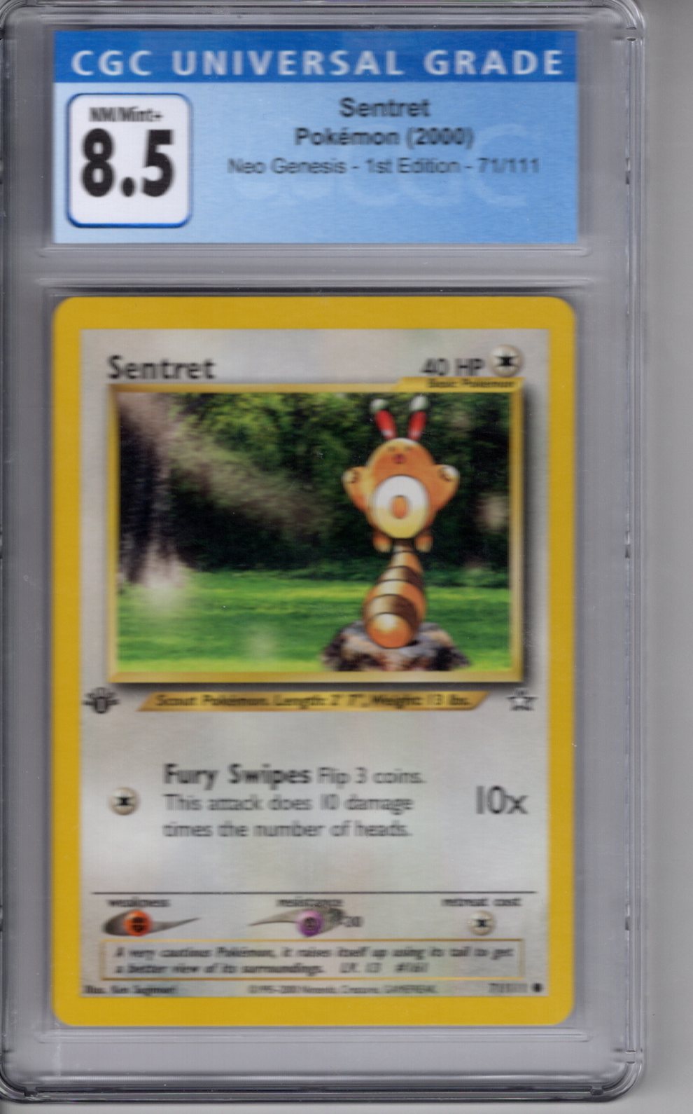 2000 Pokemon Neo Genesis 1st Edition Sentret CGC 8.5